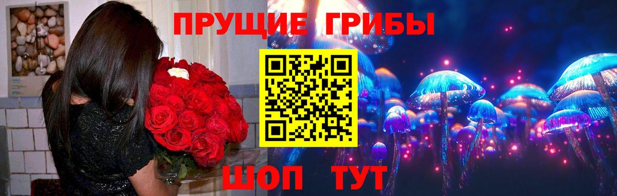 Псилоцибиновые грибы GOLDEN TEACHER  Вход с VPN  Кемерово 